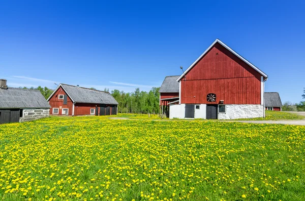 Svéd farm, napsütéses napon — Stock Fotó