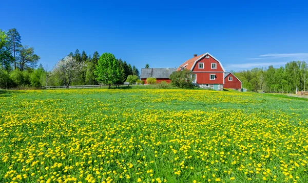 Swedish spring scenery — Stock Photo, Image