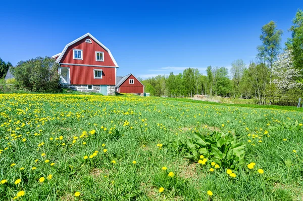 İsveçli tipik ev doğal manzarası — Stok fotoğraf