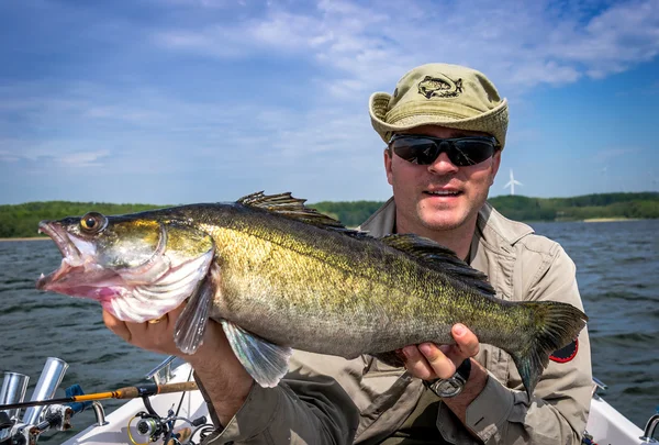 Pescador com enorme troféu de pesca walleye — Fotografia de Stock