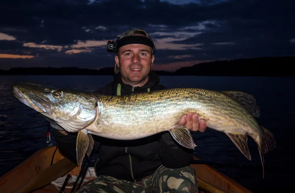 Pescador feliz com lúcio monstro à noite — Fotografia de Stock