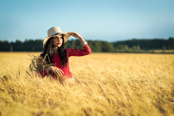 Брюнетка дівчина в пшеничному полі — стокове фото