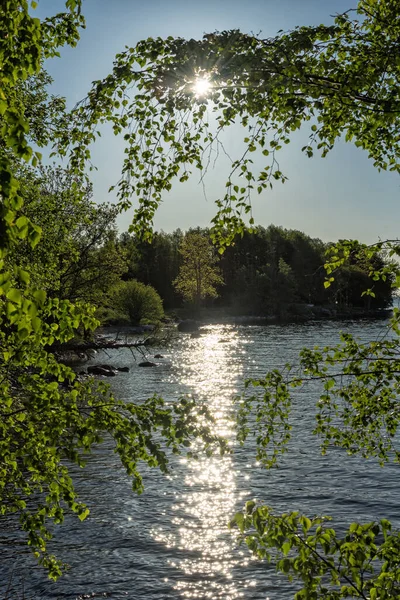 Morgon Vid Sjön Vertikalt Landskap — Stockfoto