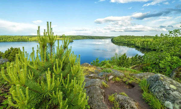 Красива Швеція Червні Місяці — стокове фото