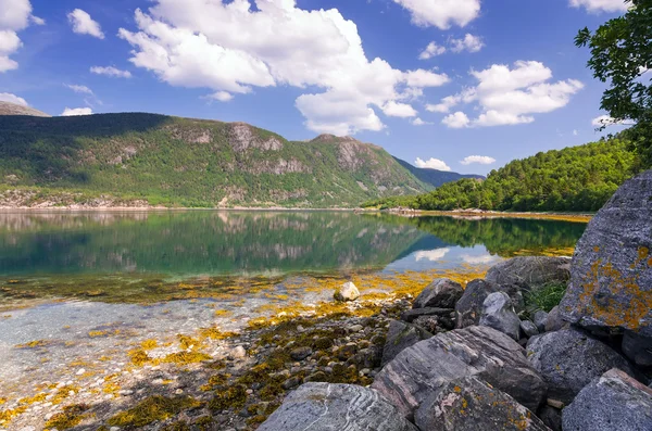 Beautiful summer view of Norwegian fjord — Stock Photo, Image