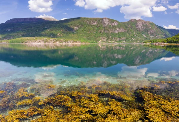 Norwegian fjord in summer — Stock Photo, Image