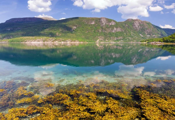 Fiordo noruego en verano — Foto de Stock