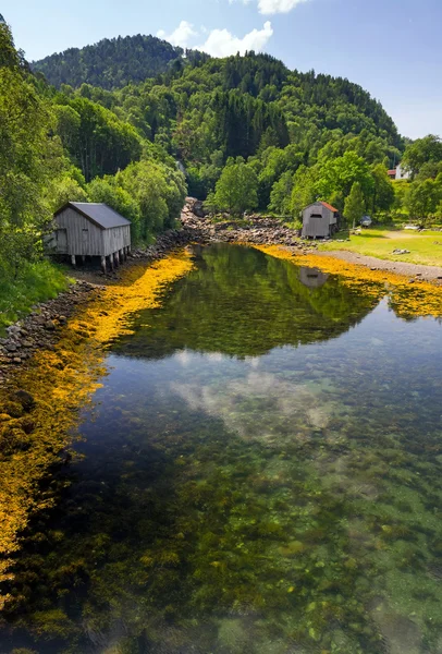 Noorse duidelijk rivier — Stockfoto