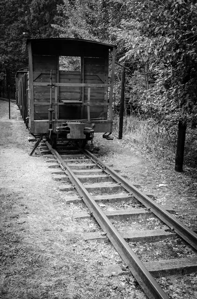 Symbolic train wagon in concentration camp Stutthof — Stock Photo, Image