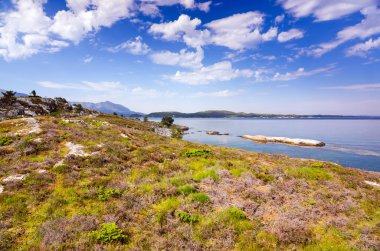 Norveç kayalık Yalı