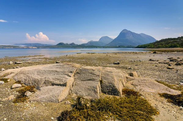 Sommer an der norwegischen Fjordküste — Stockfoto