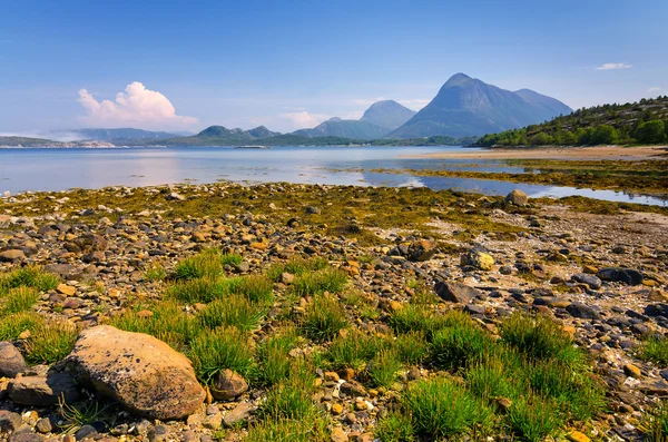 Beautiful Norwegian landscape — Stock Photo, Image