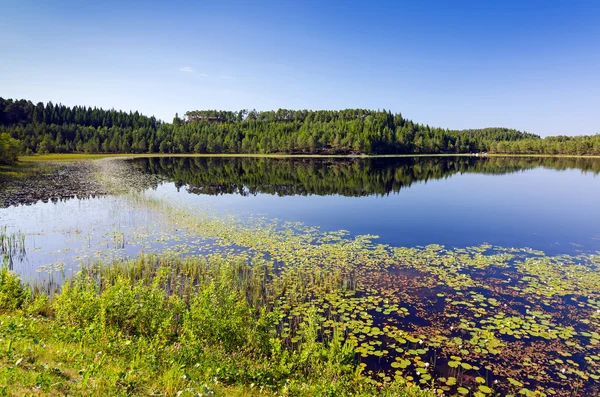 Lago estivo norvegese — Foto Stock