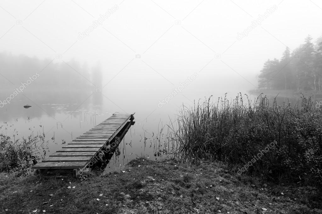 Foggy bridge in monochromatic landscape