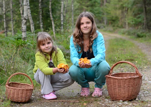 Tytöt metsässä — kuvapankkivalokuva