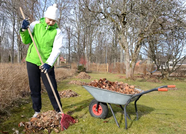 Vroege voorjaar tuin schoonmaken — Stockfoto