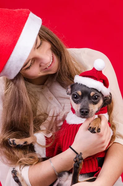 Ritratto di Natale con cane carino — Foto Stock