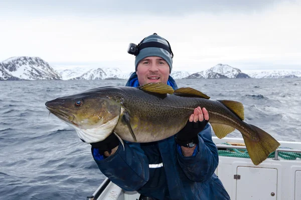 Glücklicher Angler mit riesigen Kabeljaufischen — Stockfoto