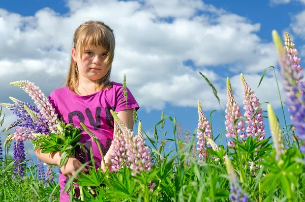 Young girl portrait in lupine flowers field — Stock Photo, Image