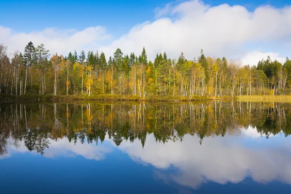 スウェーデンの湖の反射 — ストック写真