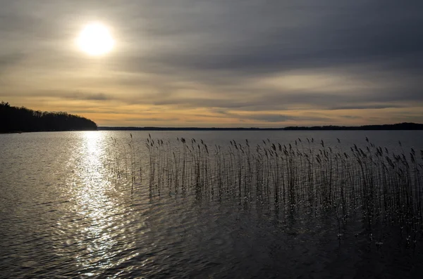 Sol de inverno sobre o lago sueco — Fotografia de Stock