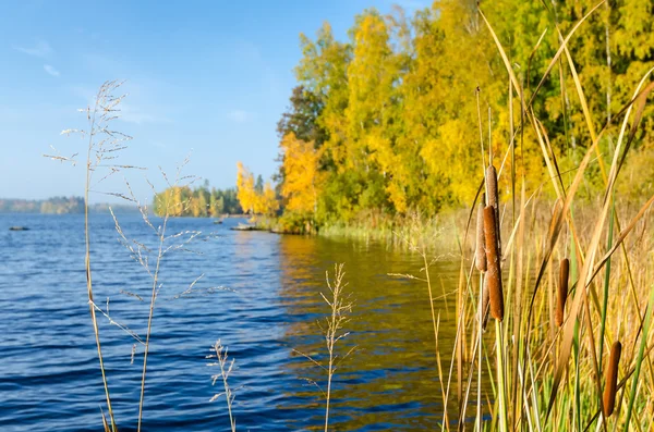 Podzimní jezero symboly — Stock fotografie