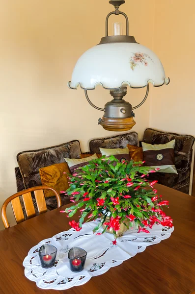 Comedor Schlumbergera flor en la mesa — Foto de Stock