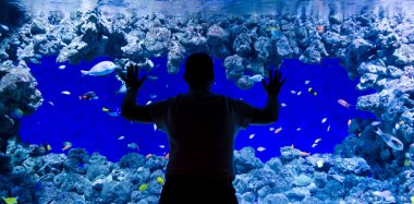 Mercan balıklar hayranım