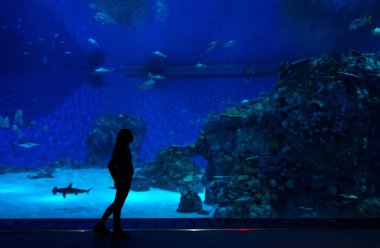 Yalnız ile balıkçı