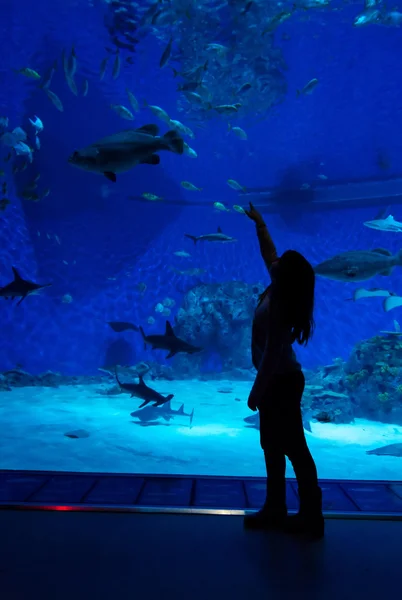 Menina pequena sozinha com peixes — Fotografia de Stock