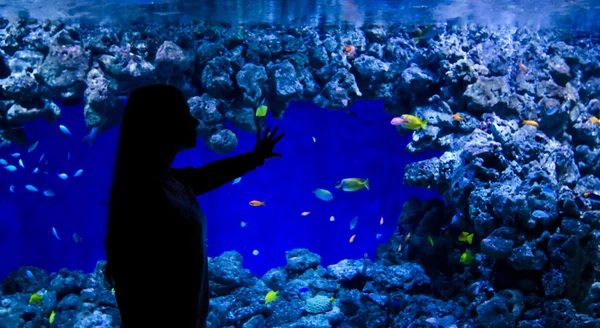 Menina desfrutar de peixes de aquário — Fotografia de Stock