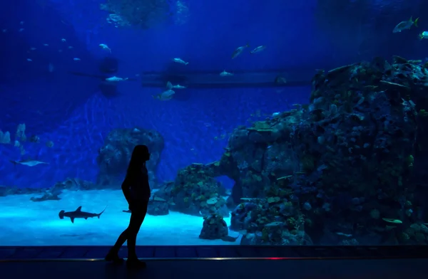 Alone with fishes — Stock Photo, Image