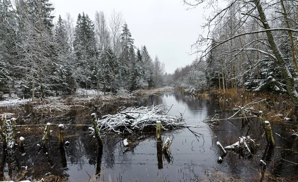 Desbordamiento de invierno —  Fotos de Stock