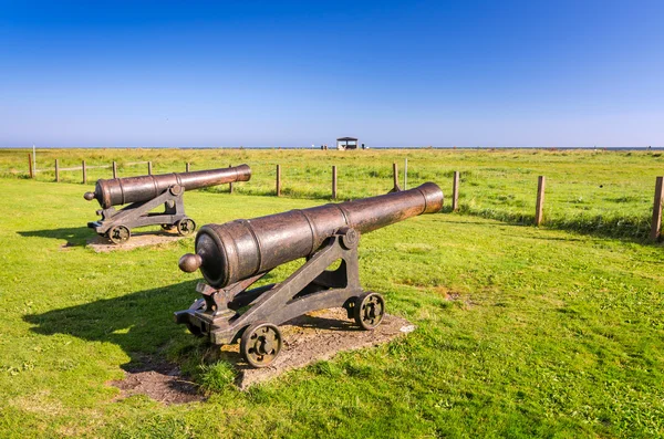 Bronze cannons on Oland island — Stock Photo, Image