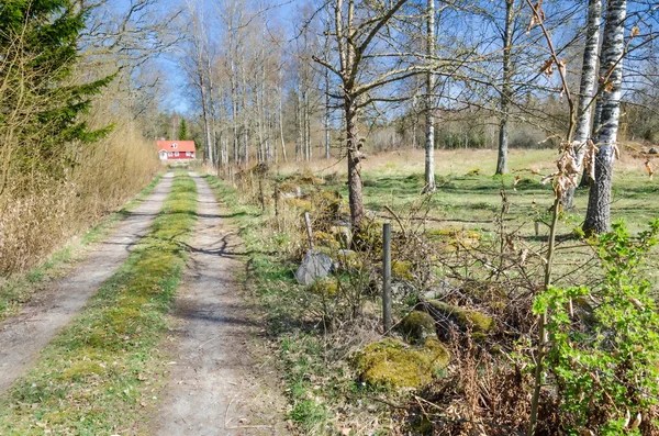 Home road — Stock Photo, Image