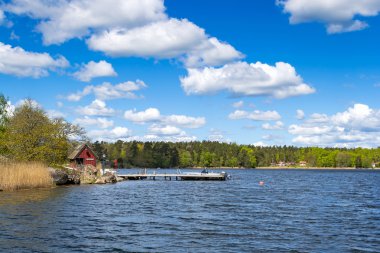 İsveçli deniz skerries