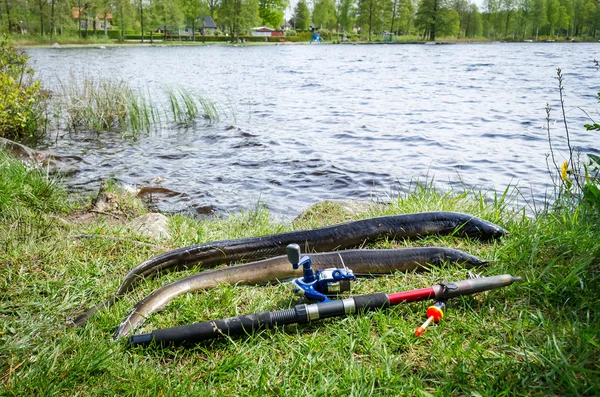 Enguia de pesca na Suécia — Fotografia de Stock