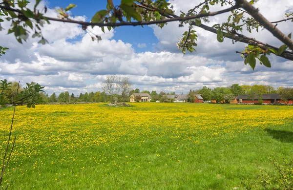 Natural spring frame in Sweden — Stock Photo, Image