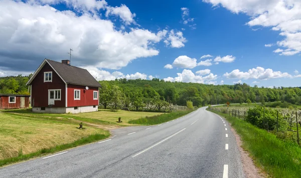 Schwedischer Bauernhof in der Nähe der Straße — Stockfoto