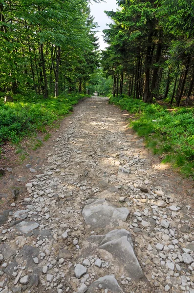 Stony hiking trail — Stock Photo, Image