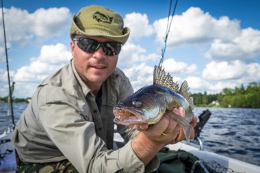 Walleye balıkçılık yaz