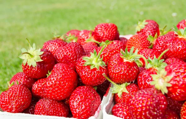 Zijaanzicht voor pakketten met verse aardbeien met gras achtergrond — Stockfoto