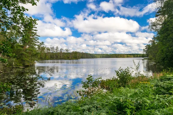 Озерные пейзажи Швеции — стоковое фото
