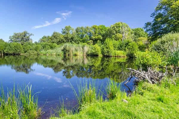 Lagoa de água sueca no verão — Fotografia de Stock