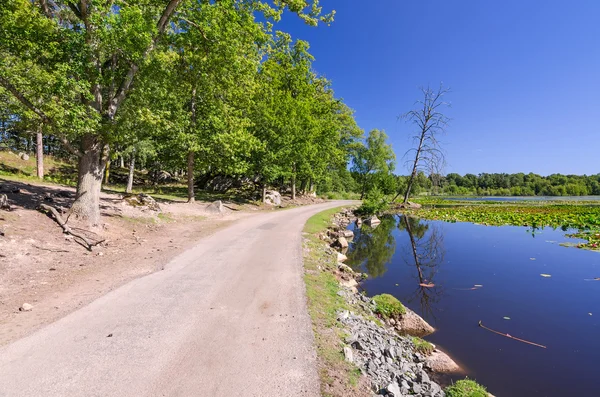 Lake road — Stok fotoğraf