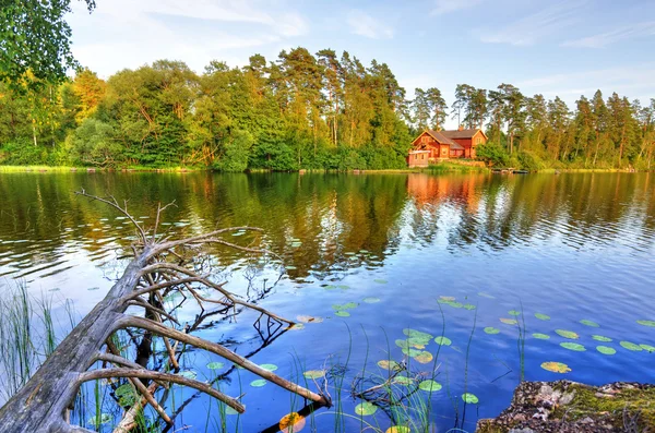 Summer Sweden reflections — Stok fotoğraf