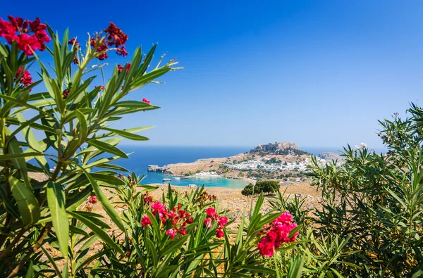 Marco de flores natural con pueblo de Lindos — Foto de Stock