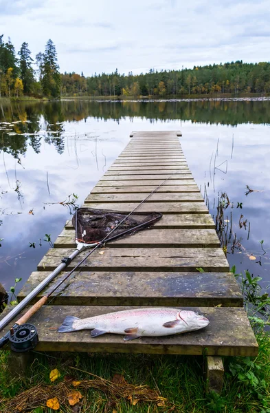 Pesca de trucha de lago en otoño —  Fotos de Stock