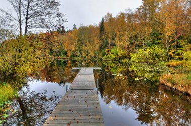 Melankolik sonbahar sahne