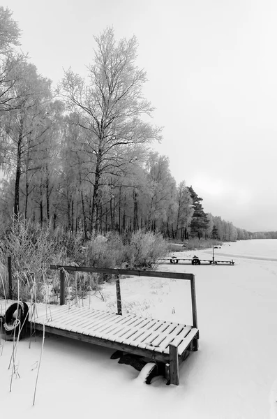 Vista monocromática de la costa del lago sueco en invierno —  Fotos de Stock